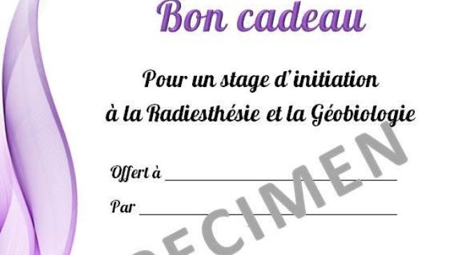 Bon Cadeau Stage