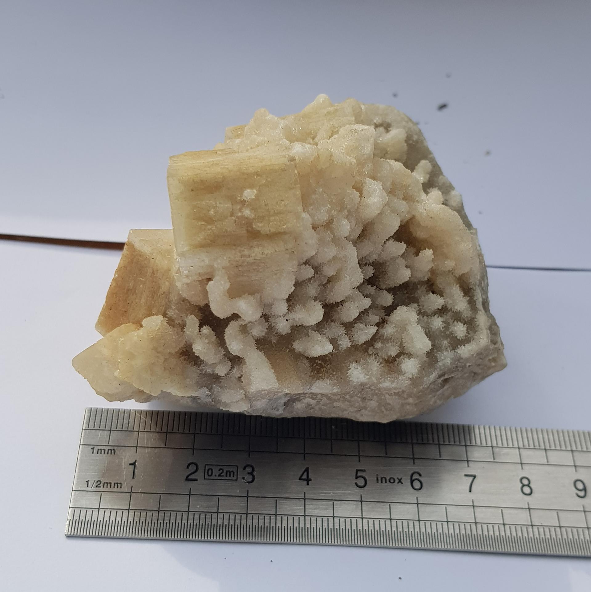 Aragonite blanchelessence aux 1000 pendules 12