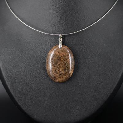 Corail fossil 2 