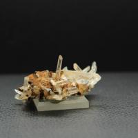 Quartz siderite la gardette h91 3 